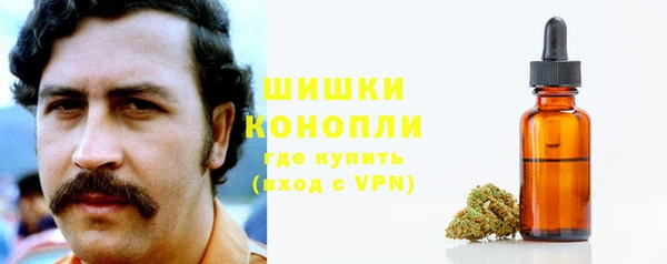 дурь Магас
