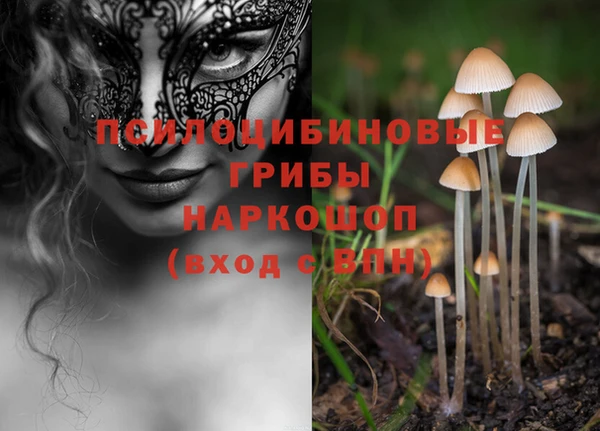 ГАЛЛЮЦИНОГЕННЫЕ ГРИБЫ Майский