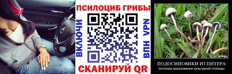 закладка  Бодайбо  Псилоцибиновые грибы мухоморы 